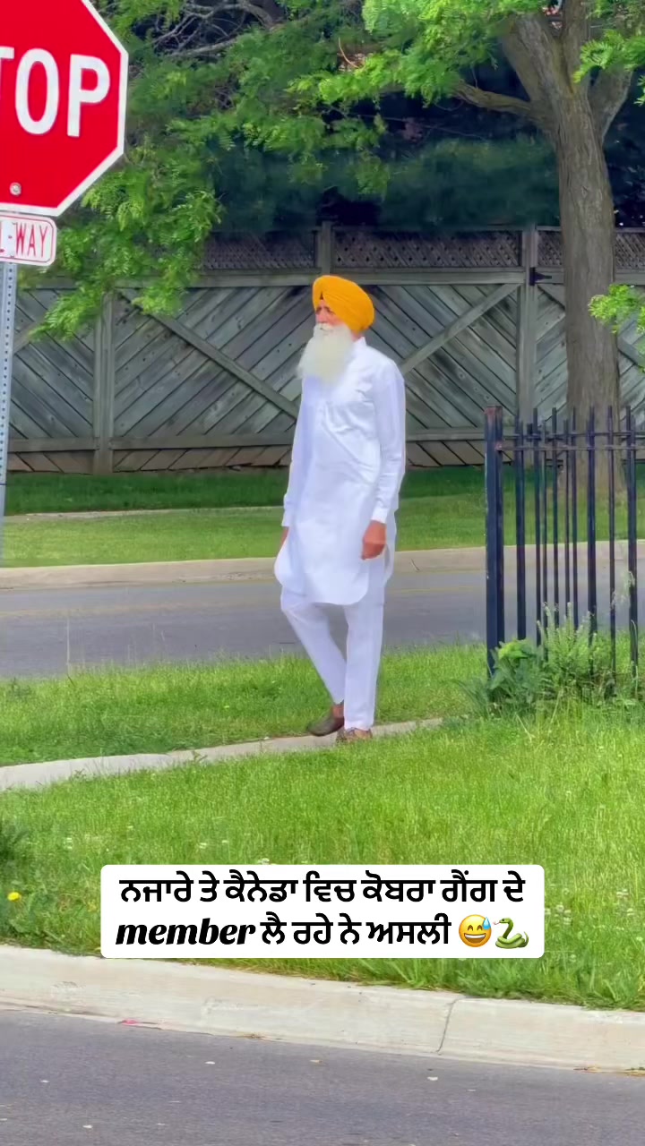 @уααя_тяυ¢кιє🐍