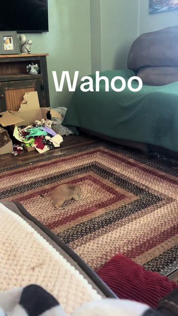 @Sarahsquirrels43🐿️