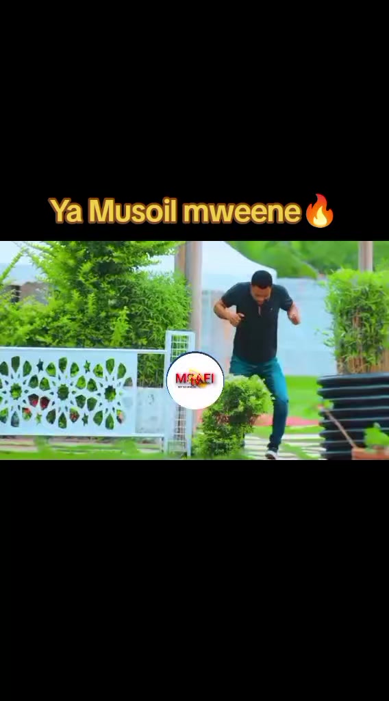 @MSAFI TV💫ONLINE
