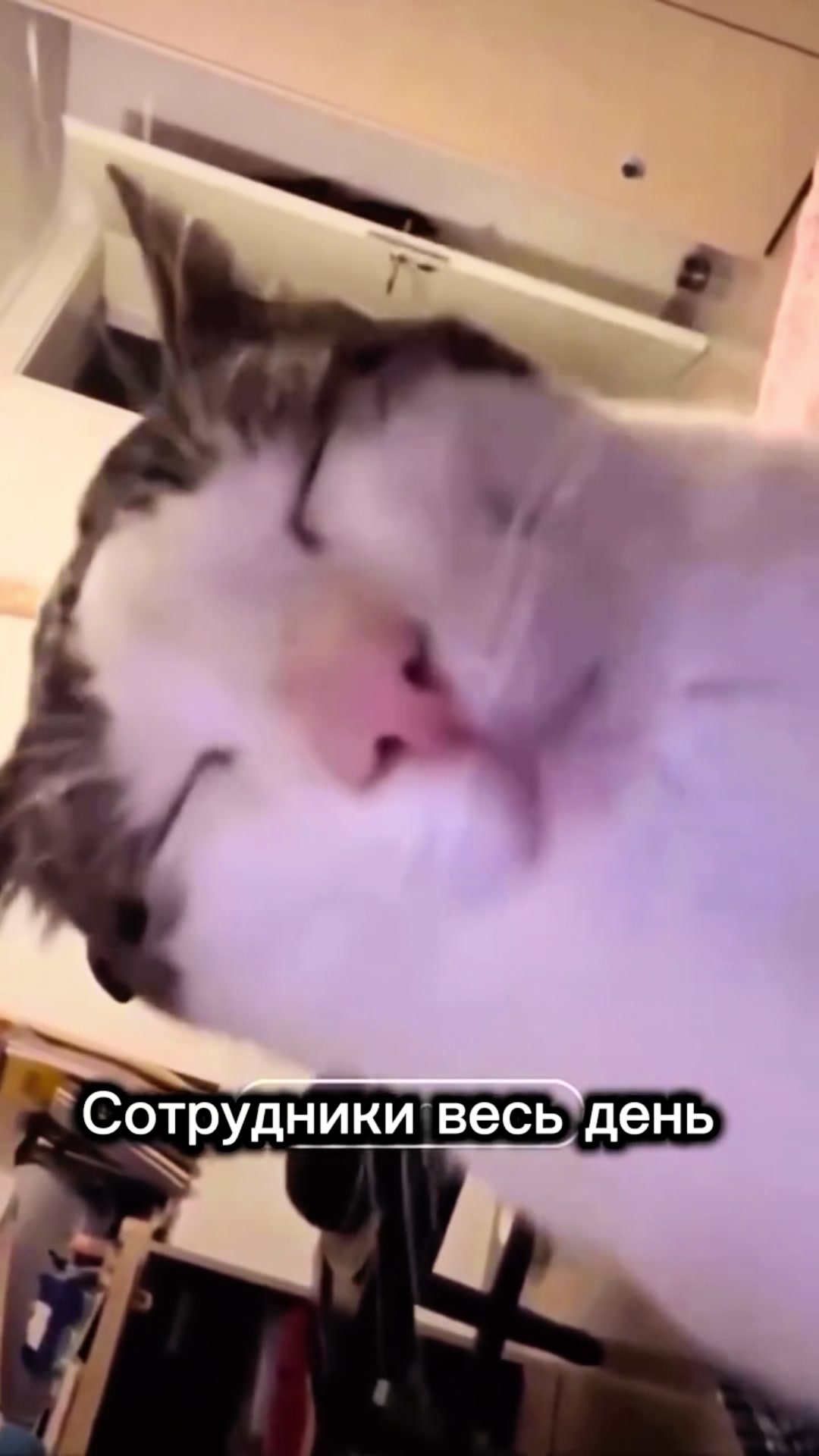 @wow_dom_aktau