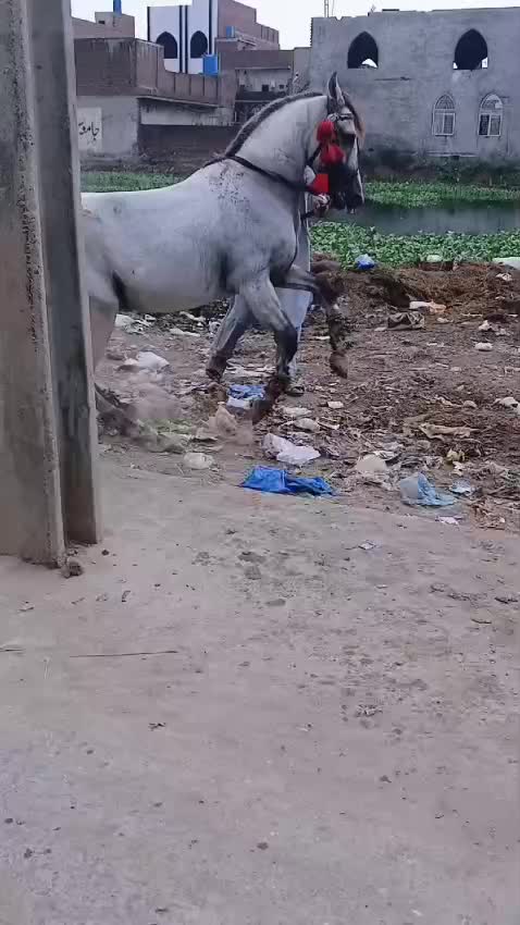 @ladlagujjar4973