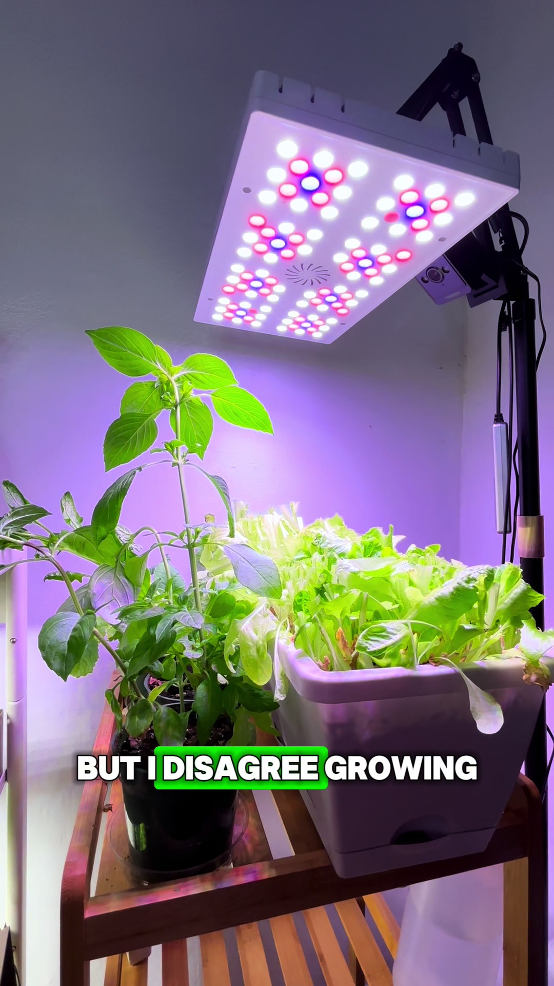 @Urban Agriculture w/ Mike
