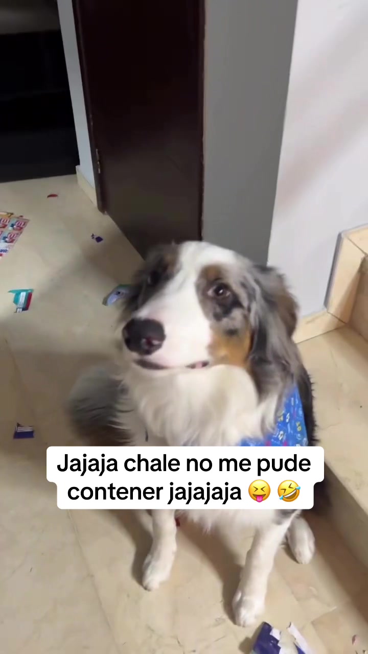 @Texazz🇲🇽