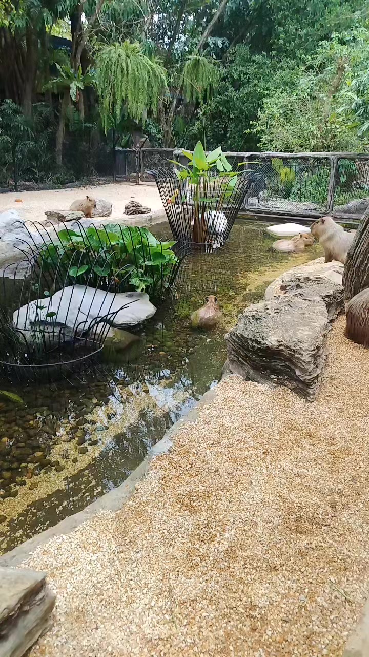 @เคอาร์