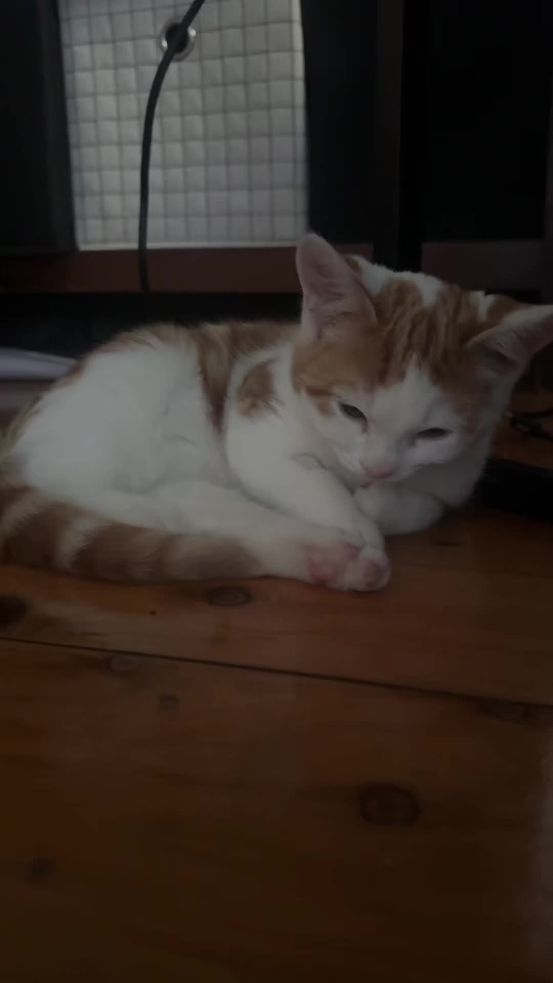 @Saz
