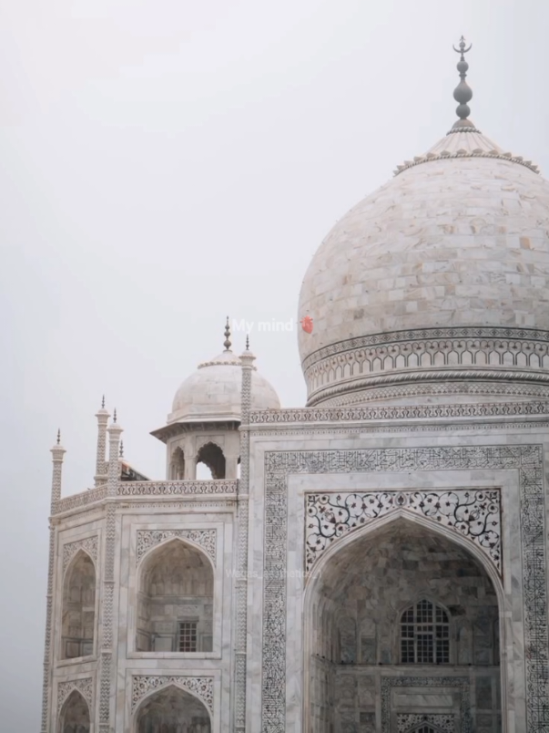@🌼Meerasim Era🌼