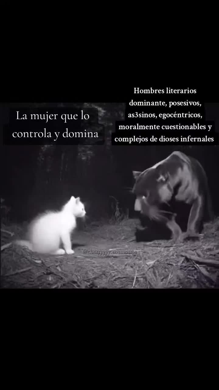 @aribooks.0