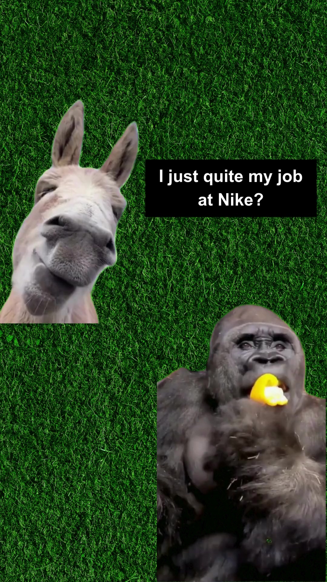 @CritterFacts