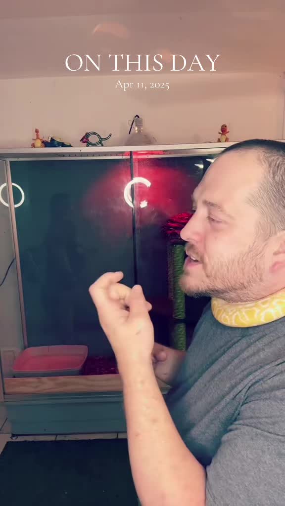 @LolosCritters 🏚️🐓