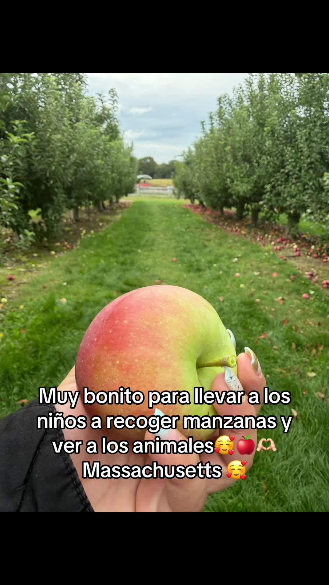 @Idalia Garcia🇸🇻