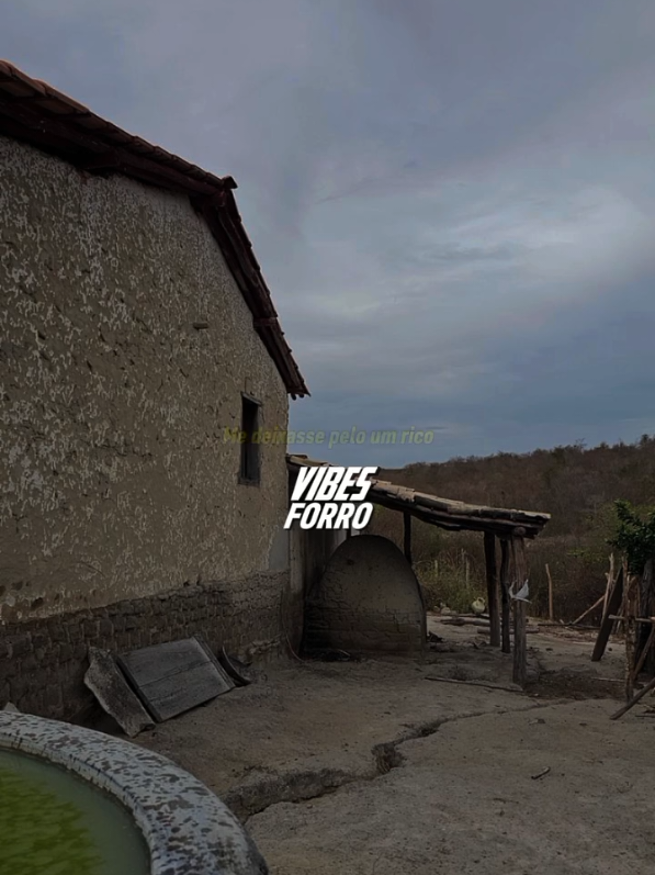 @VIBES FORRO