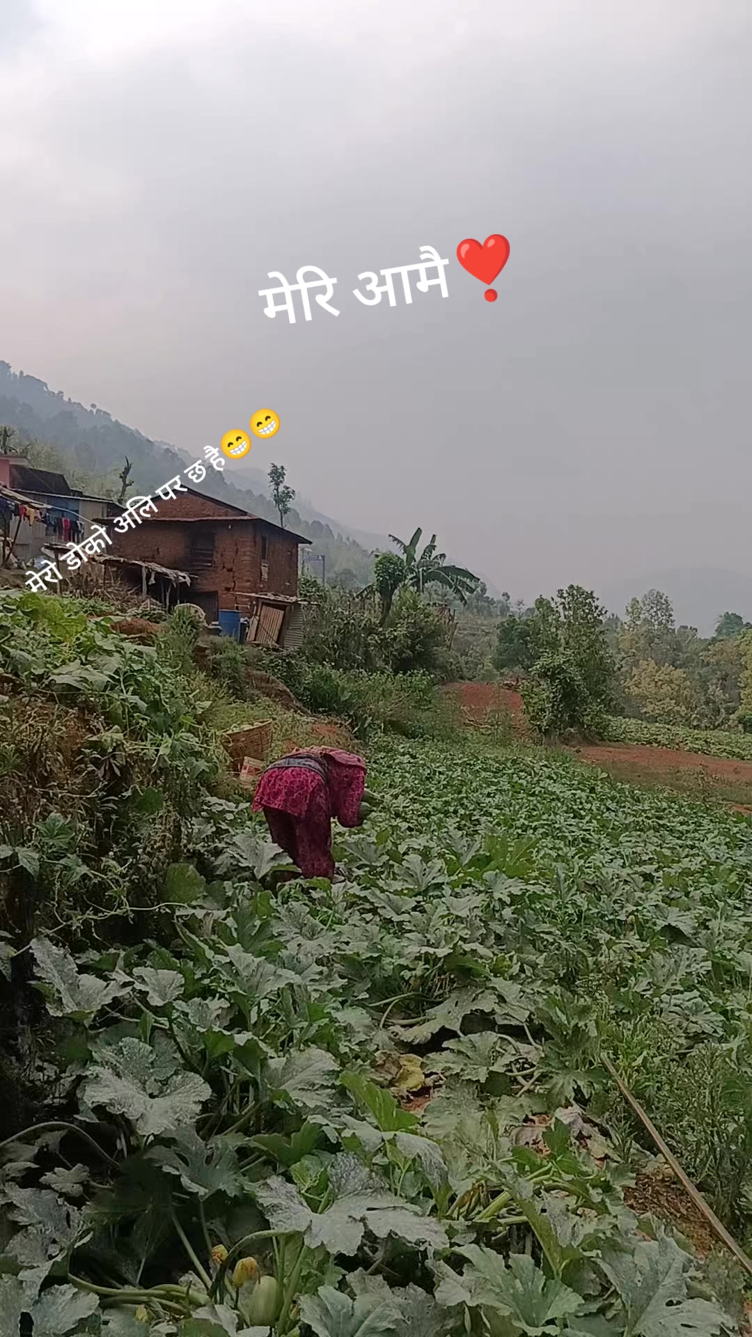 @रुद्रांशी