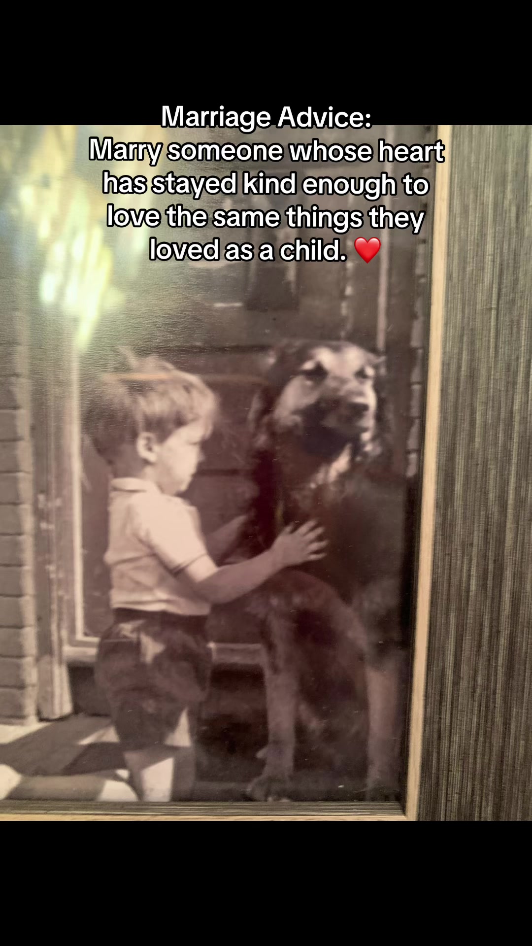 @ksdoggos