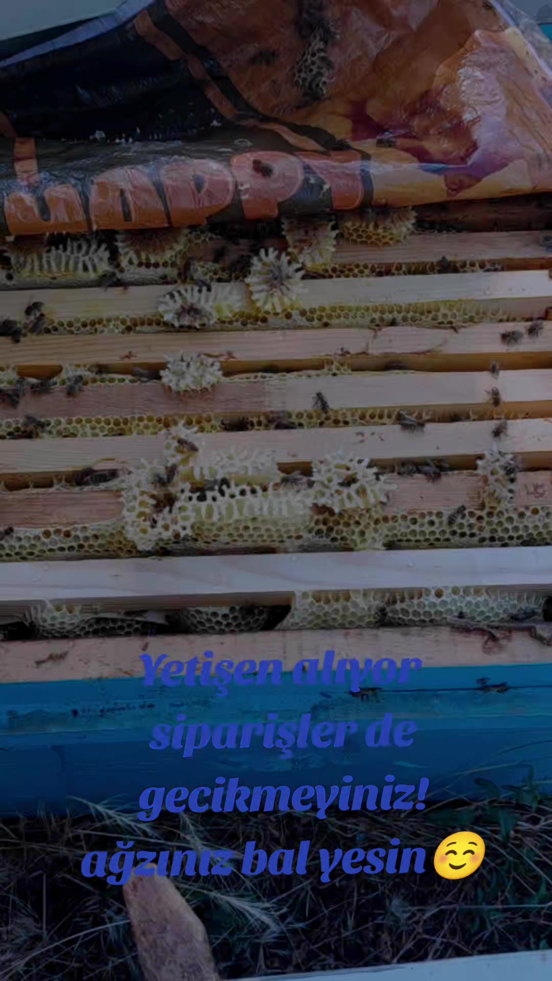 @Kozanlı_01🍁