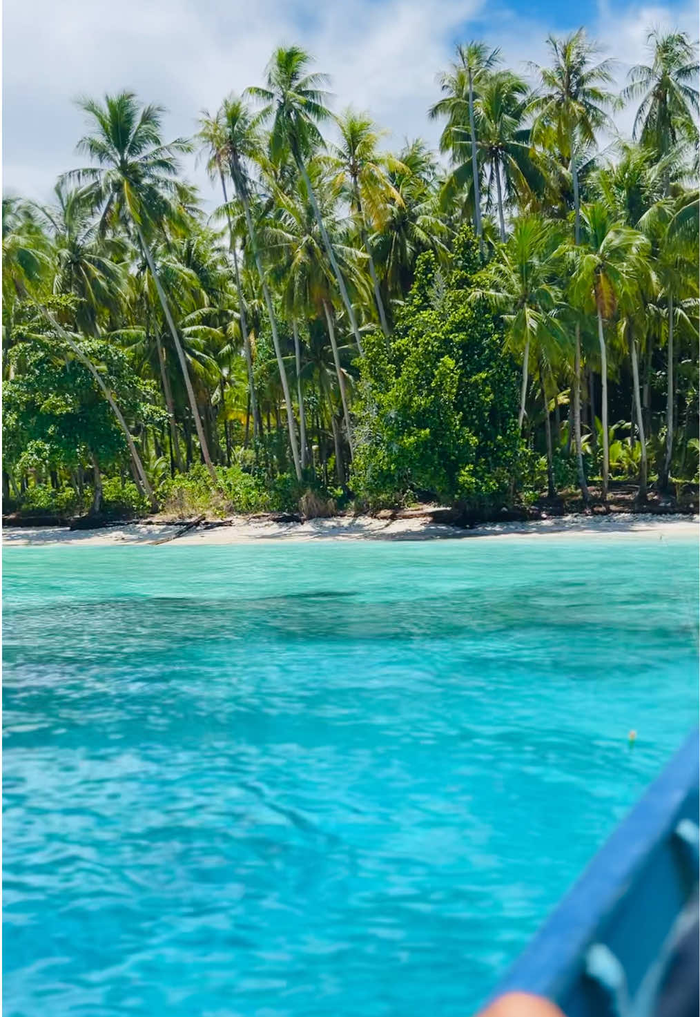 @CocoNapi