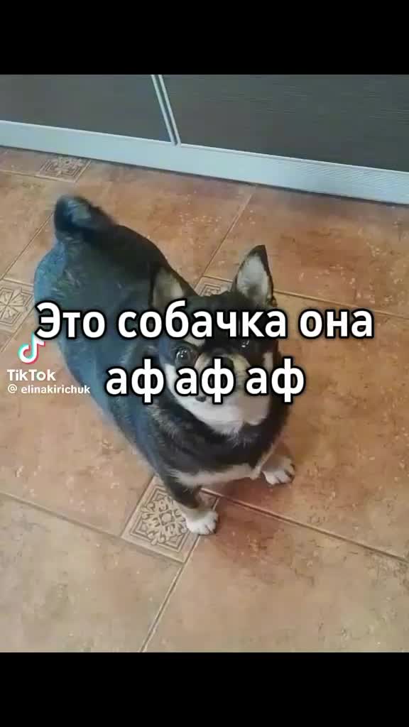 @новогодний абдумалик