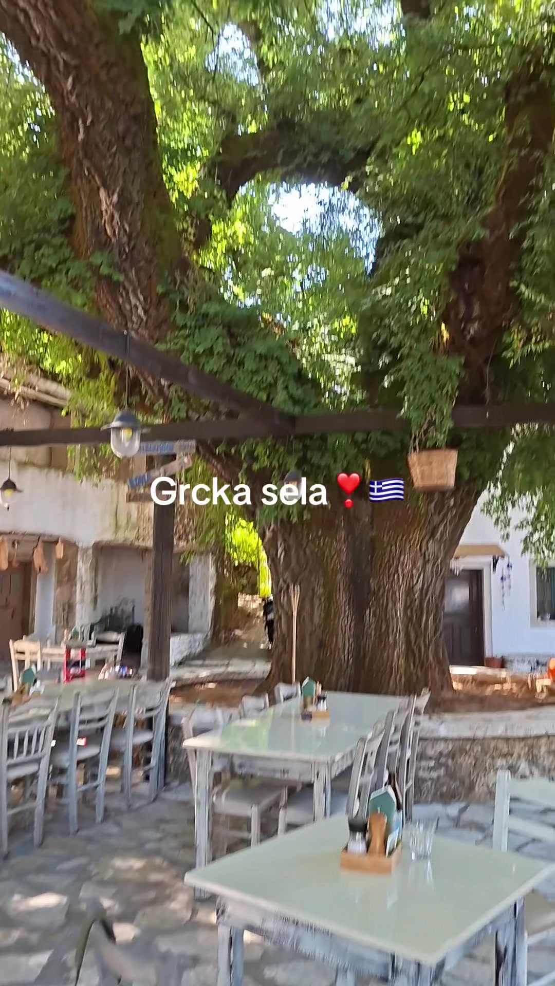 @ALEKSANDAR