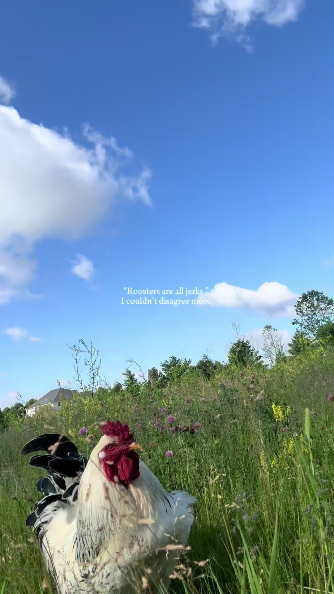 @Ellie (#1 Ineffa fan)