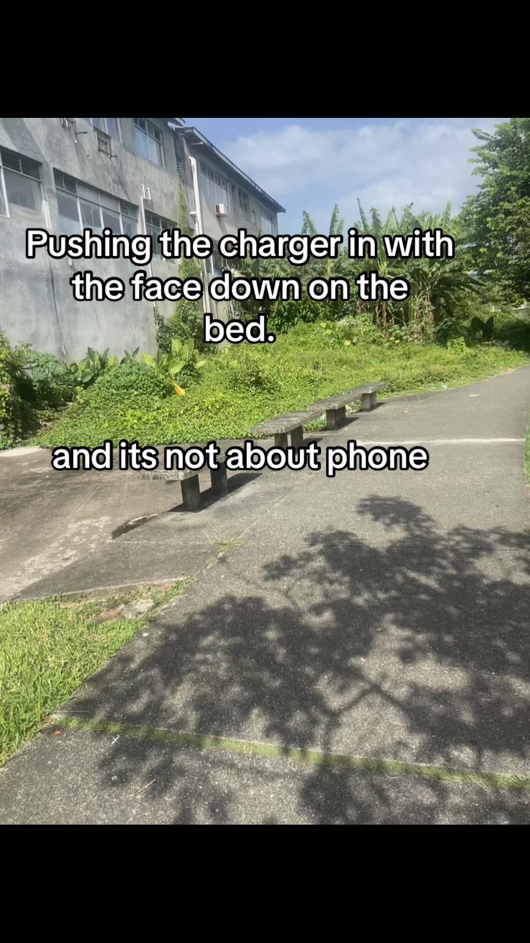 @ Sato