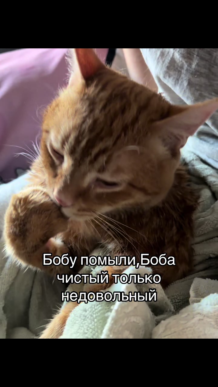 @кастрюля