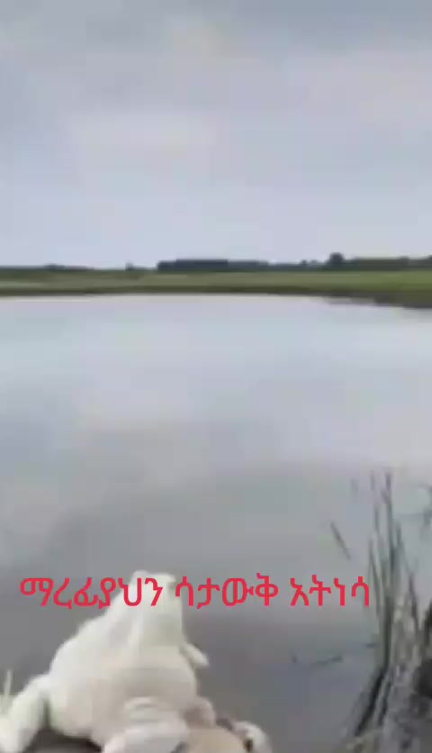 @አለማር