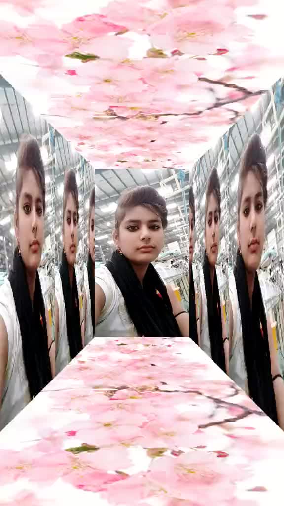 @shakil Dhol