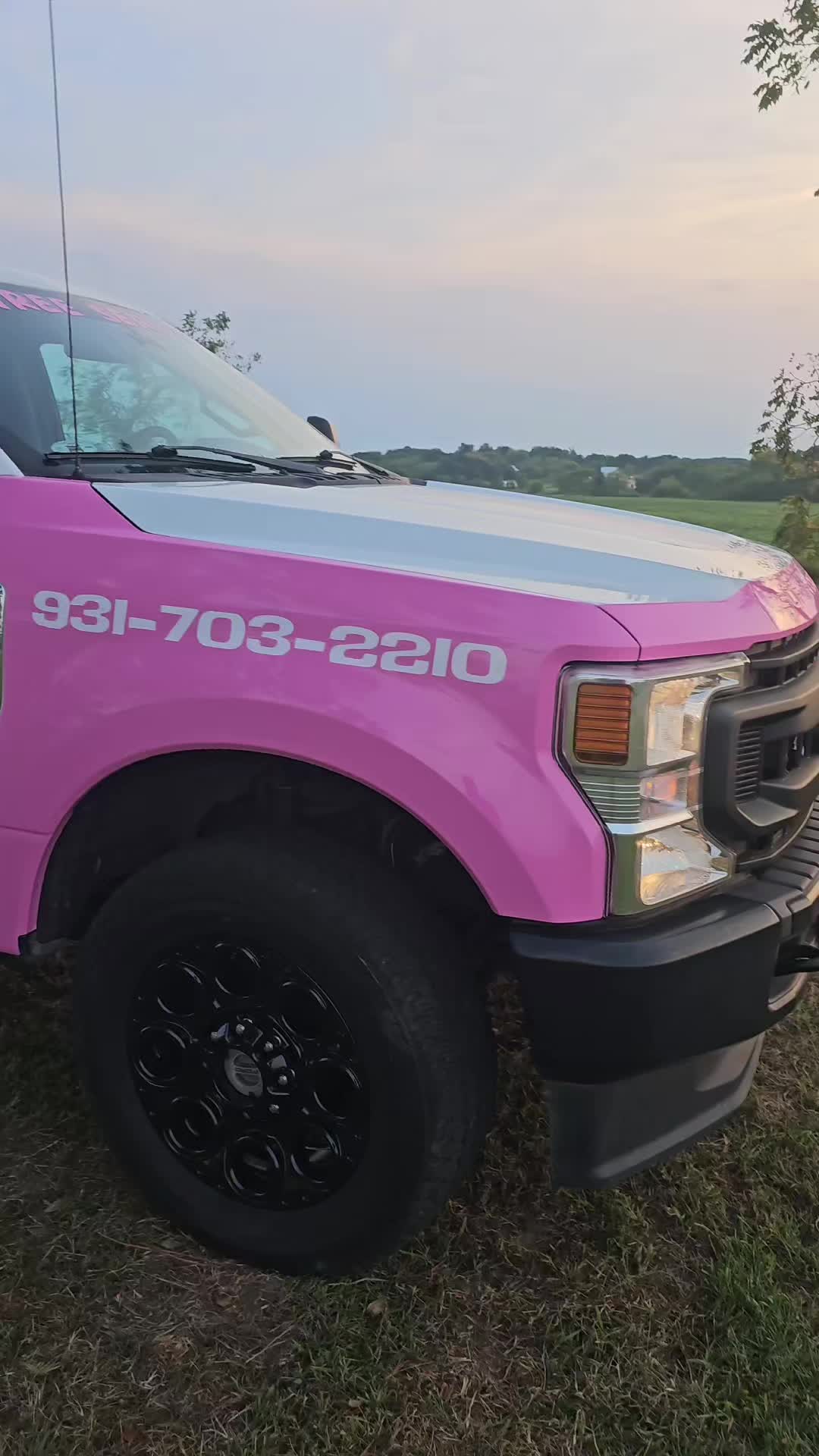 @TLC TREE CHAD