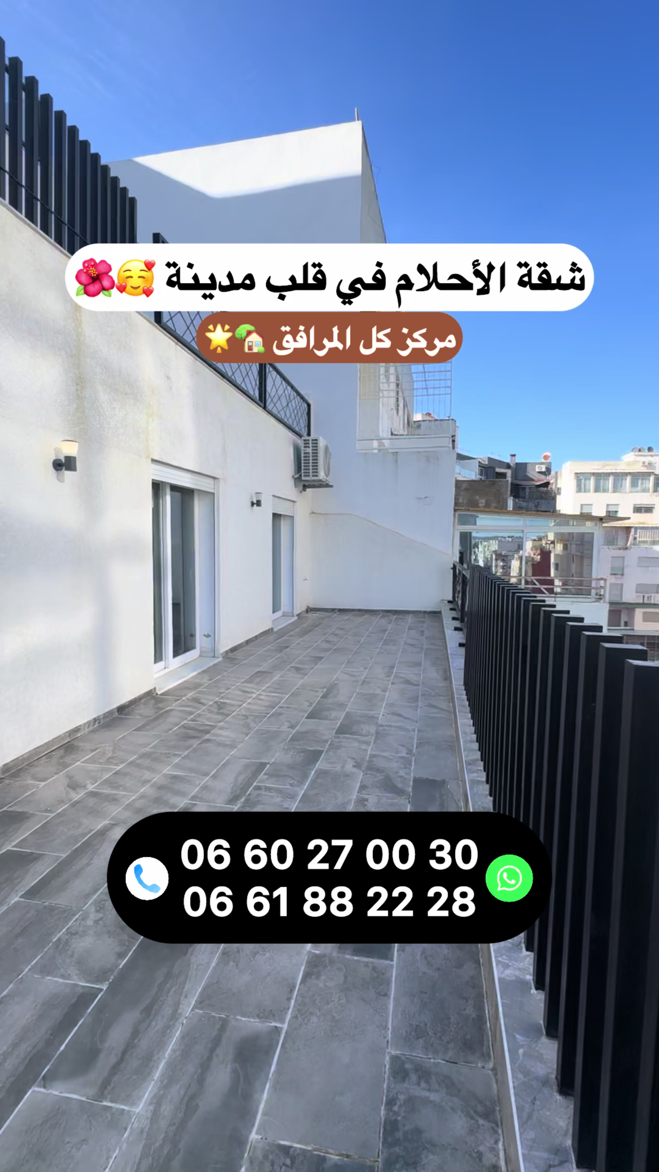 @Zakaria Haddad 🇲🇦🇵🇸