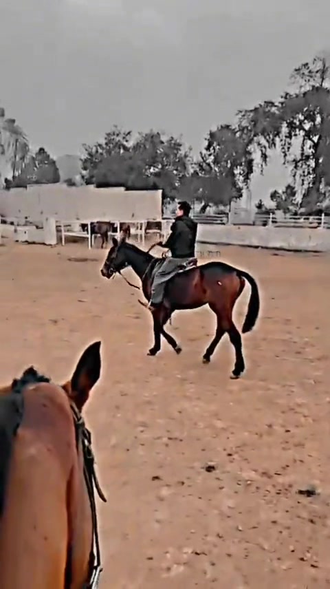@𝐒𝐚𝐚𝐝𝐚𝐭𝐘𝐨𝐮𝐬𝐚𝐟𝐳𝐚𝐢
