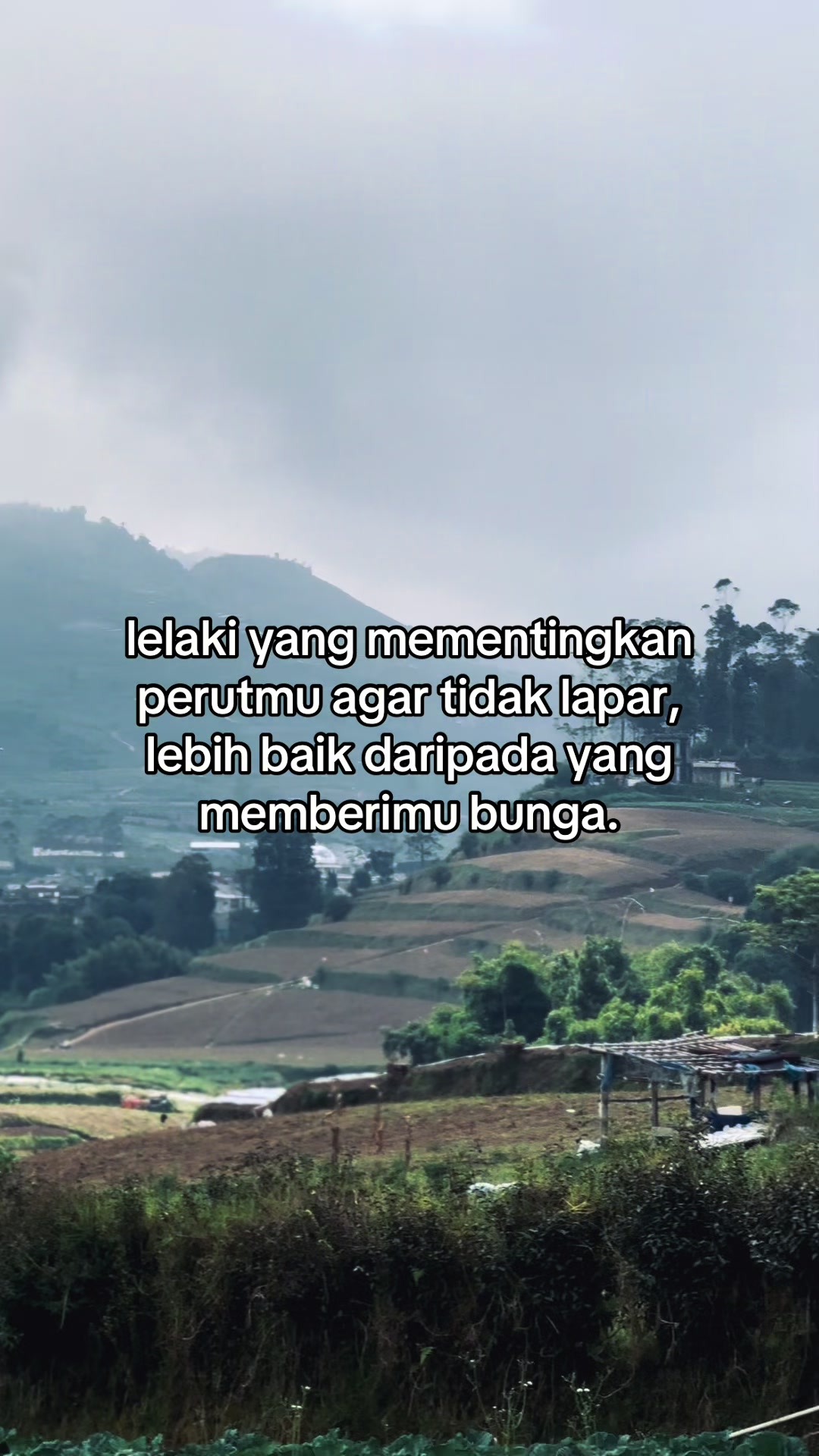 @Dewo