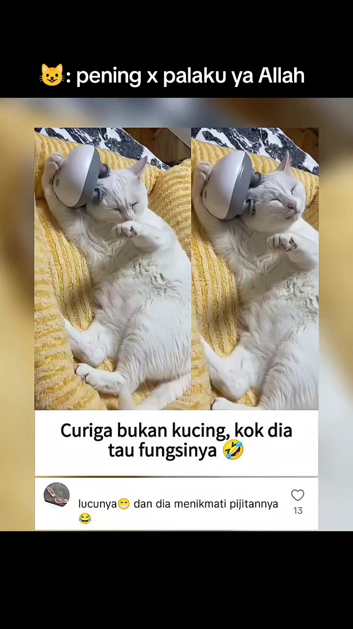 @Kiki