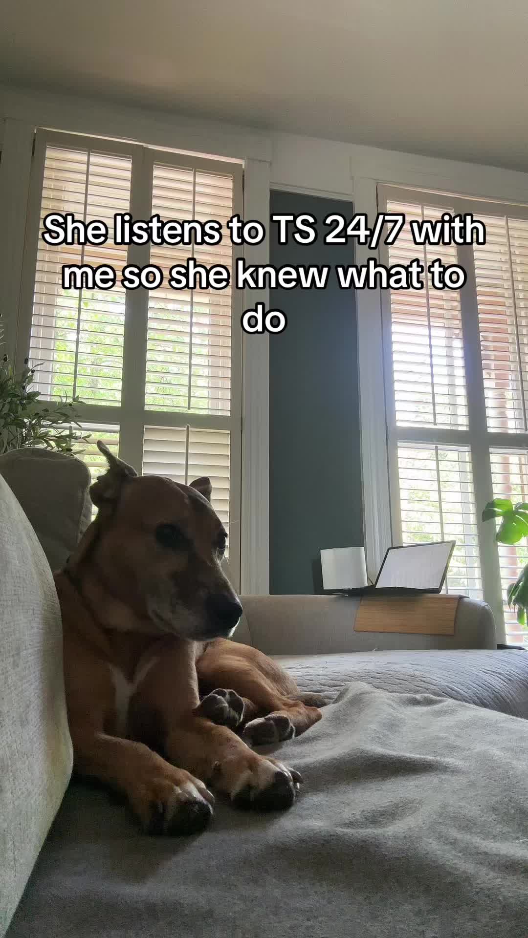 @Audrey