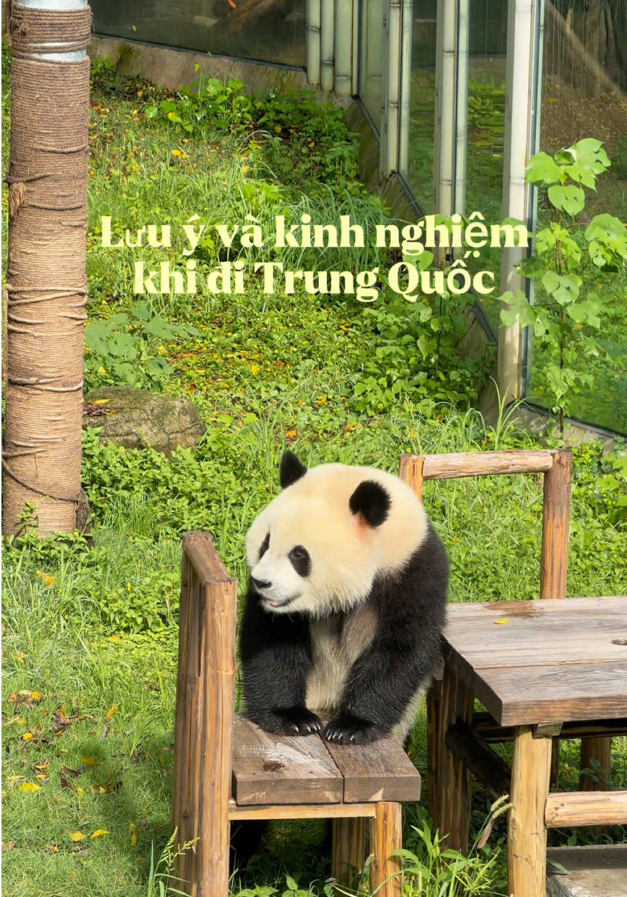 @Bùi Ngọc Tuyết