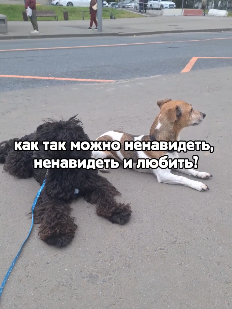 @ⲁⲅⲣⲉⲥⲥ&upsilon;ⲃⲏⲟⲉ ⲱⲁⲃⲗⲟ