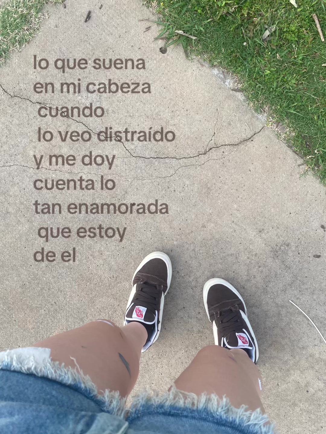 @˚𝜗𝜚˚⋆