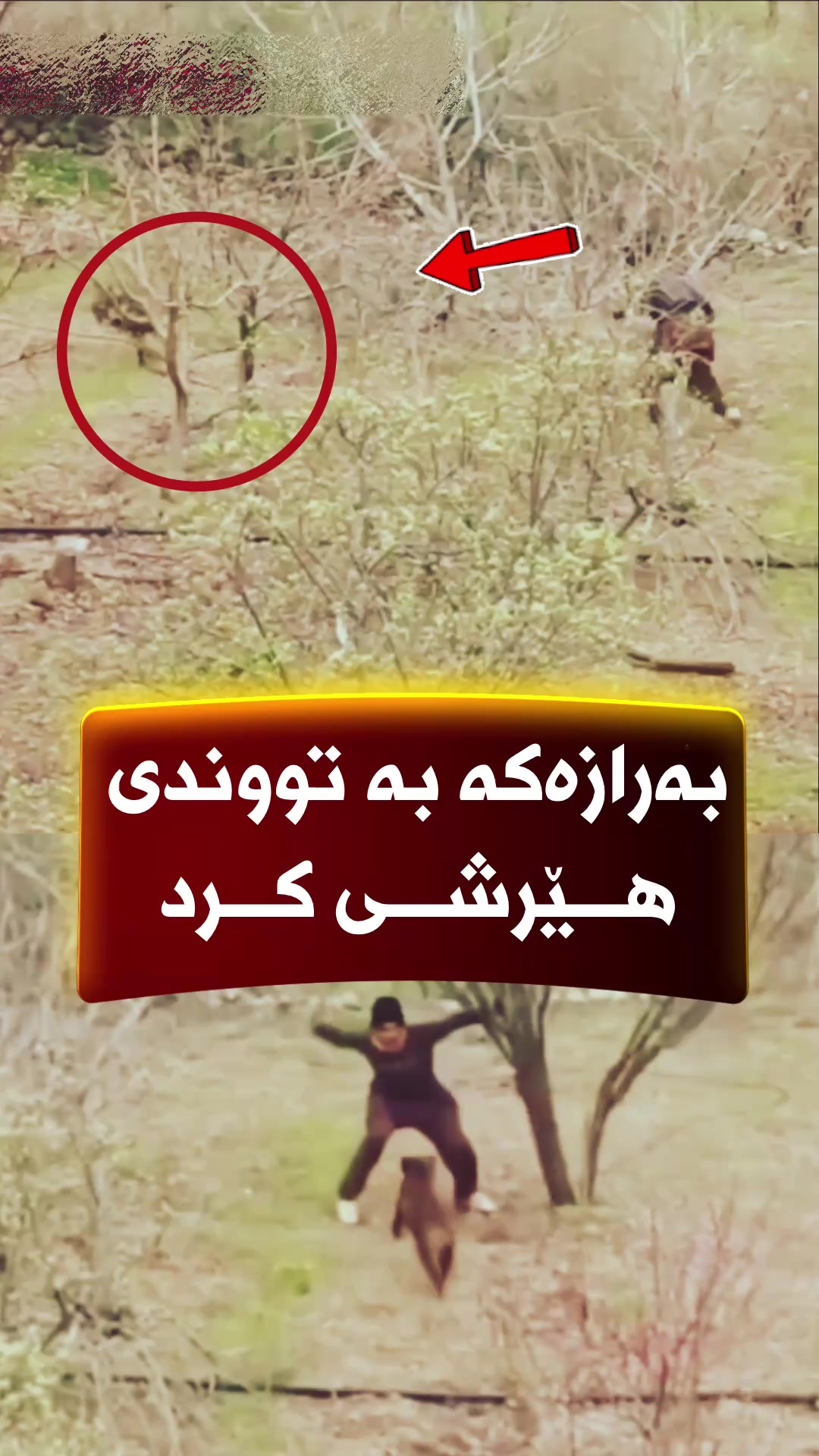 @🎤📺 𓆩جیگر هەركی𓆪 Journalist