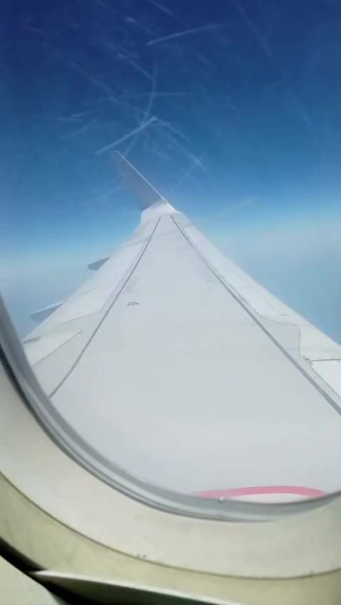 @张国钱cobiizhang