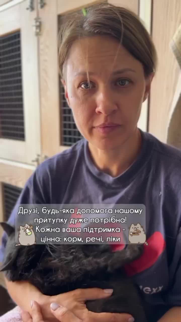 @КотоДім Cat House