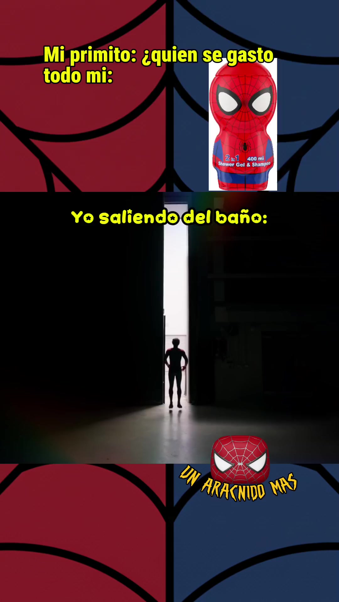 @Un Arácnido Más🕷️