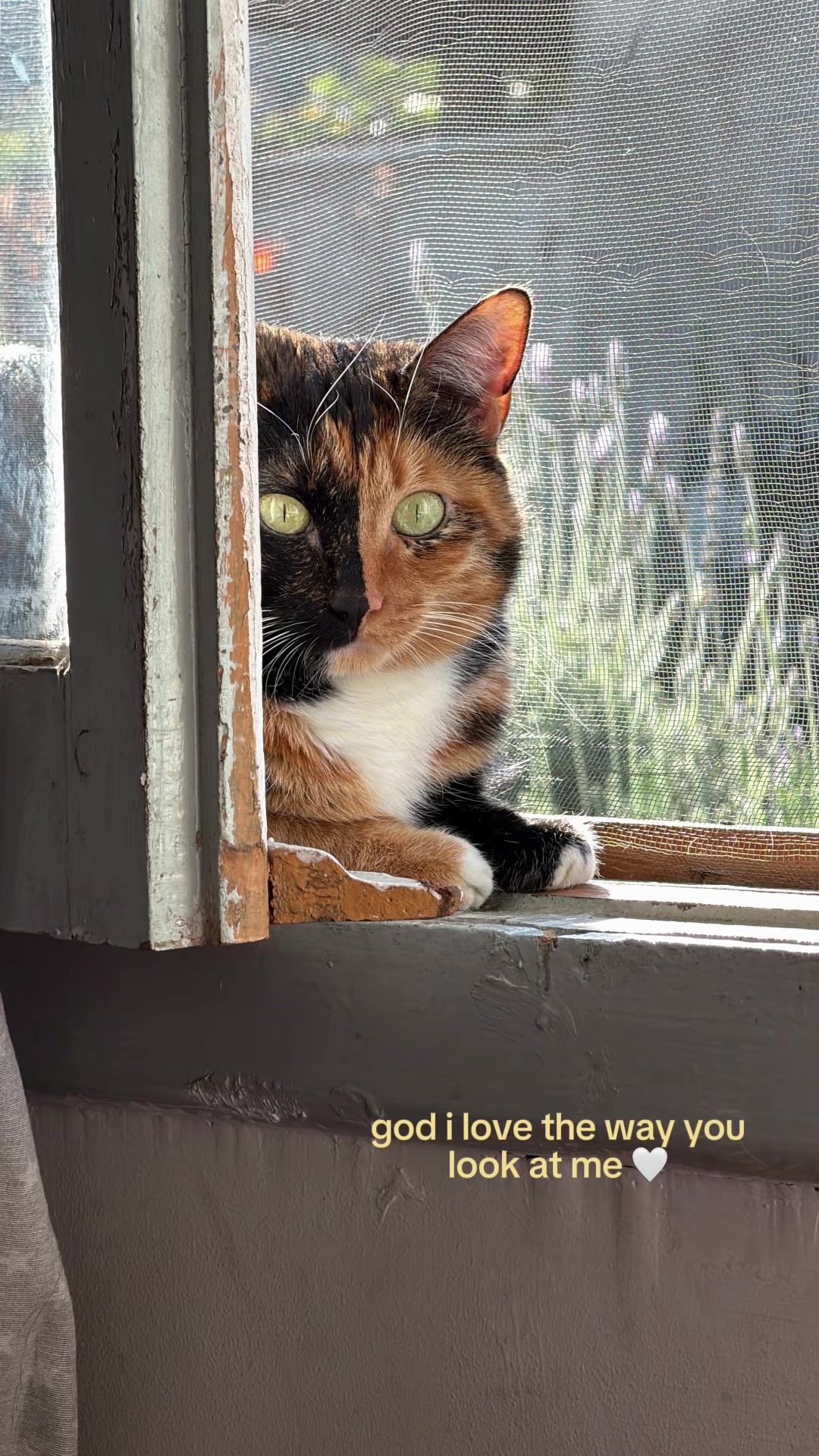 @kiki 🐈⬛