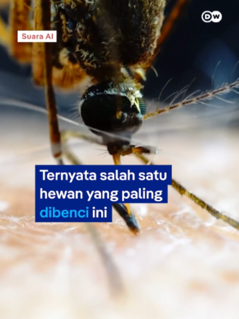 @Tribunnews