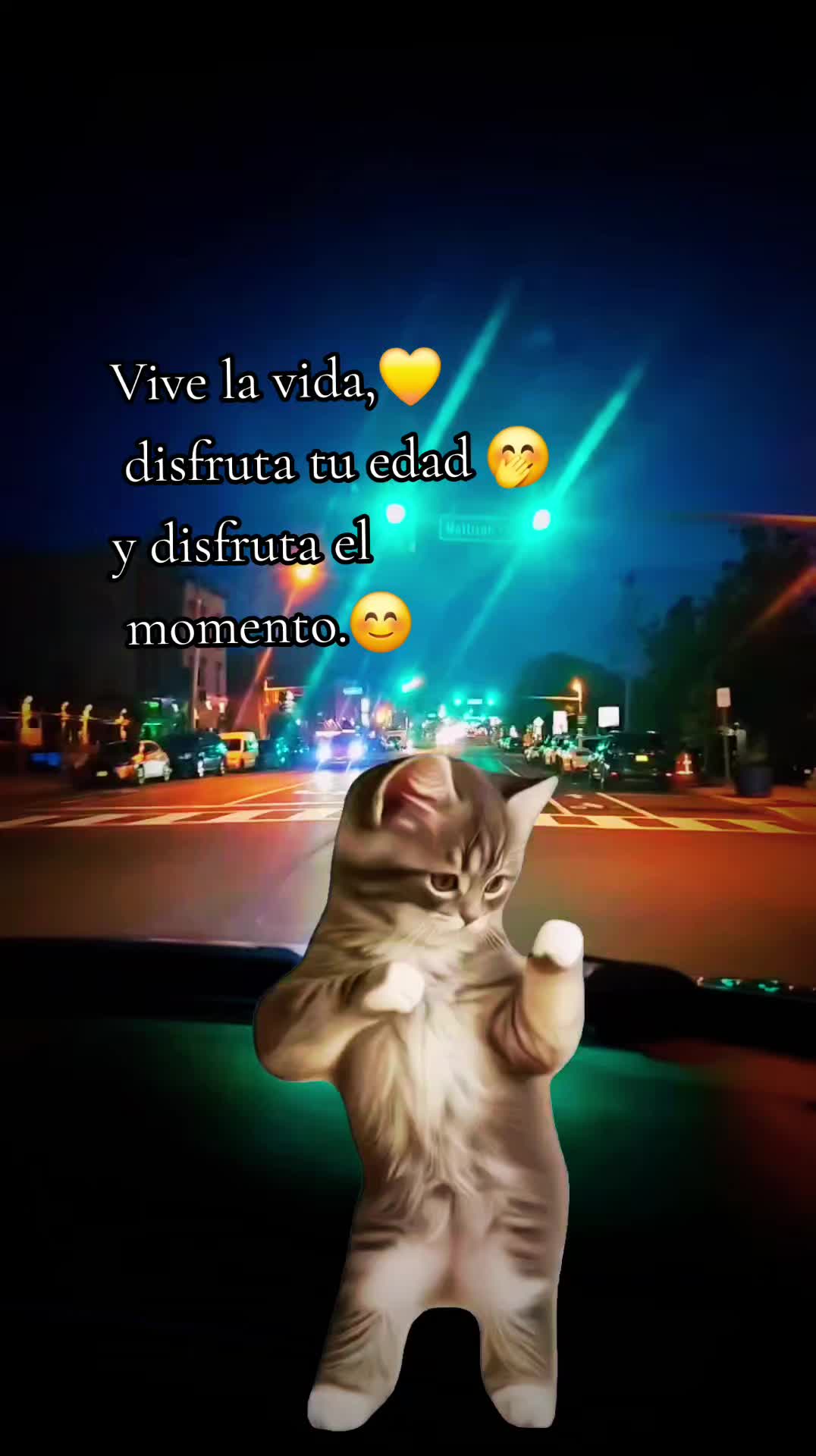 @🇲🇽Guli.Carrada 🐈⬛