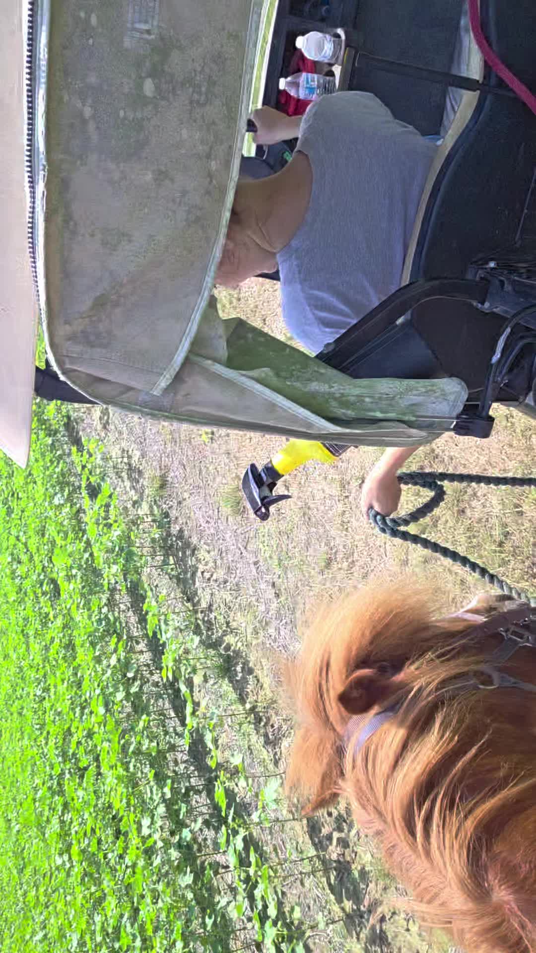 @BucksandBolts🌻🩷