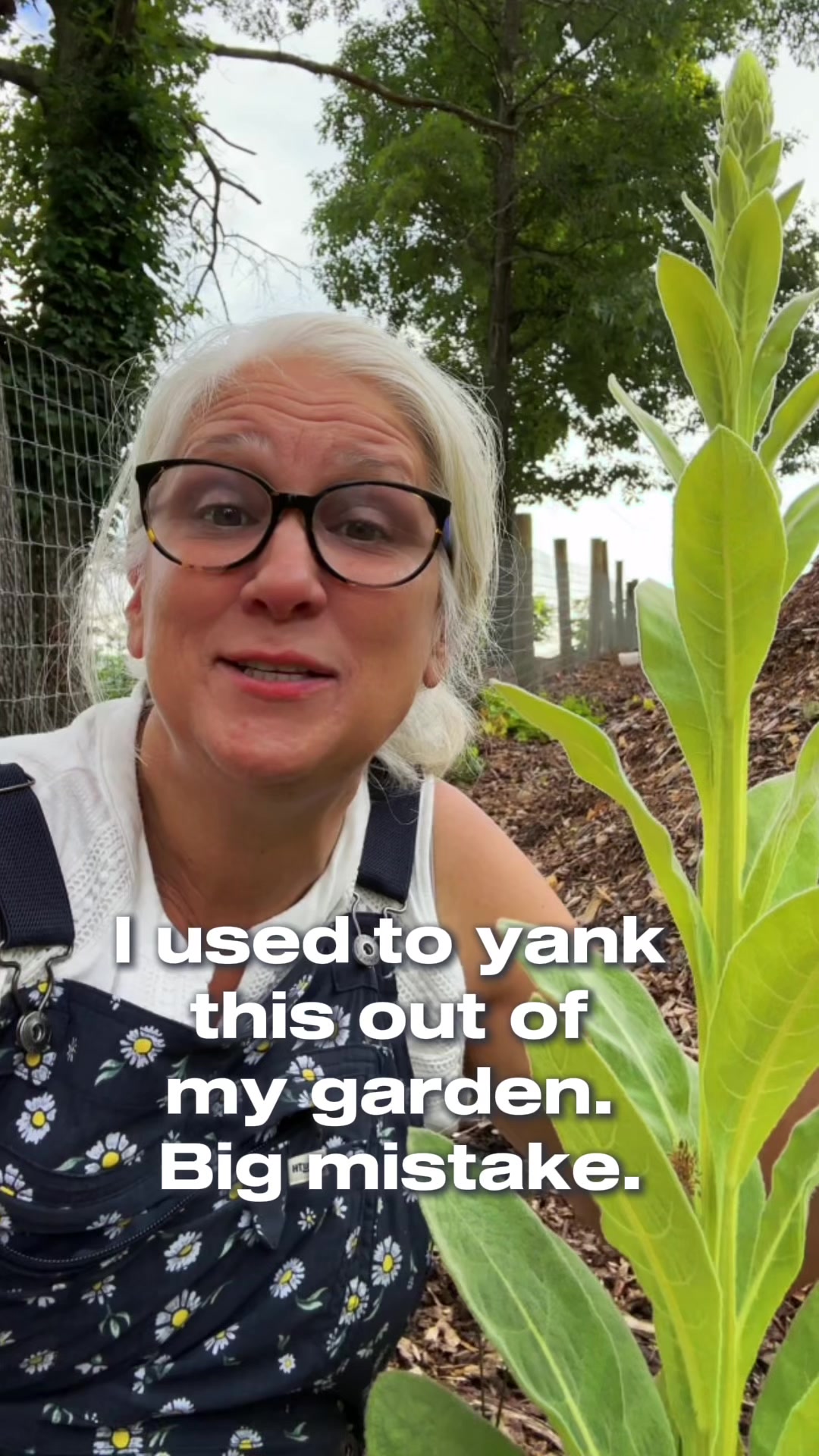 @Sweet BombDiggity Farms