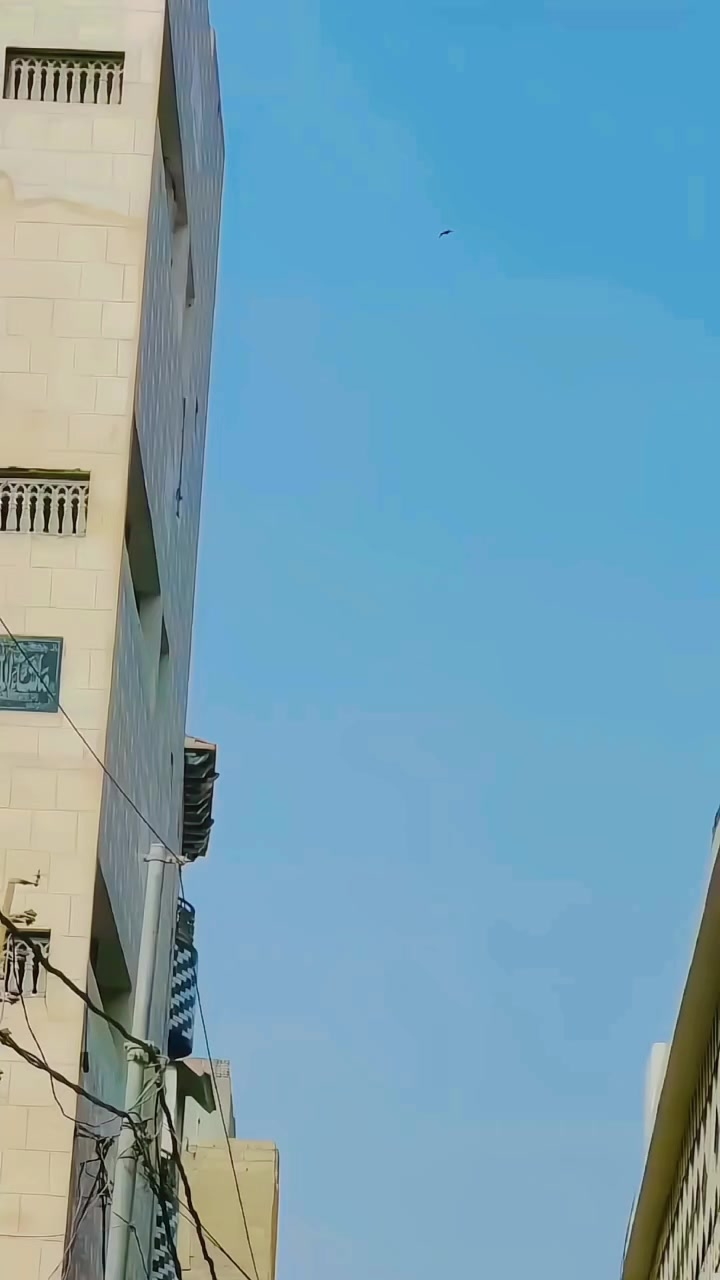 @⚜️عبد الله 💫