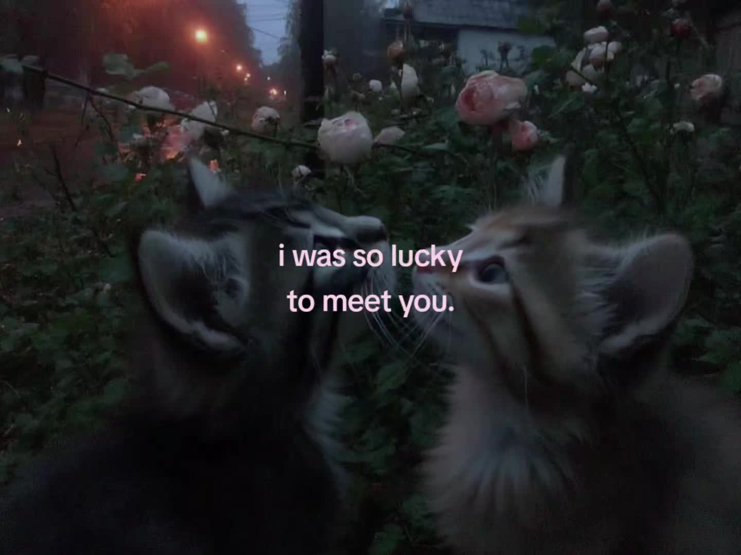@soulful