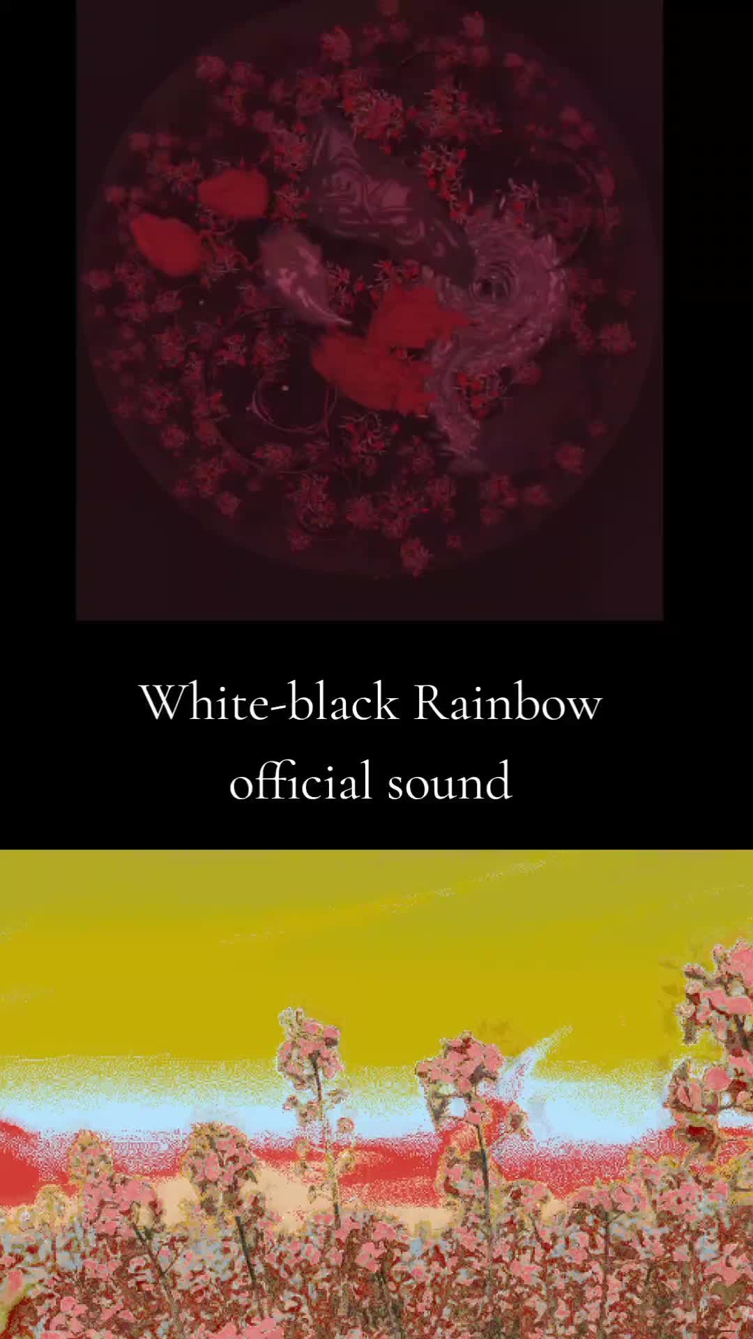 @White-black Rainbow