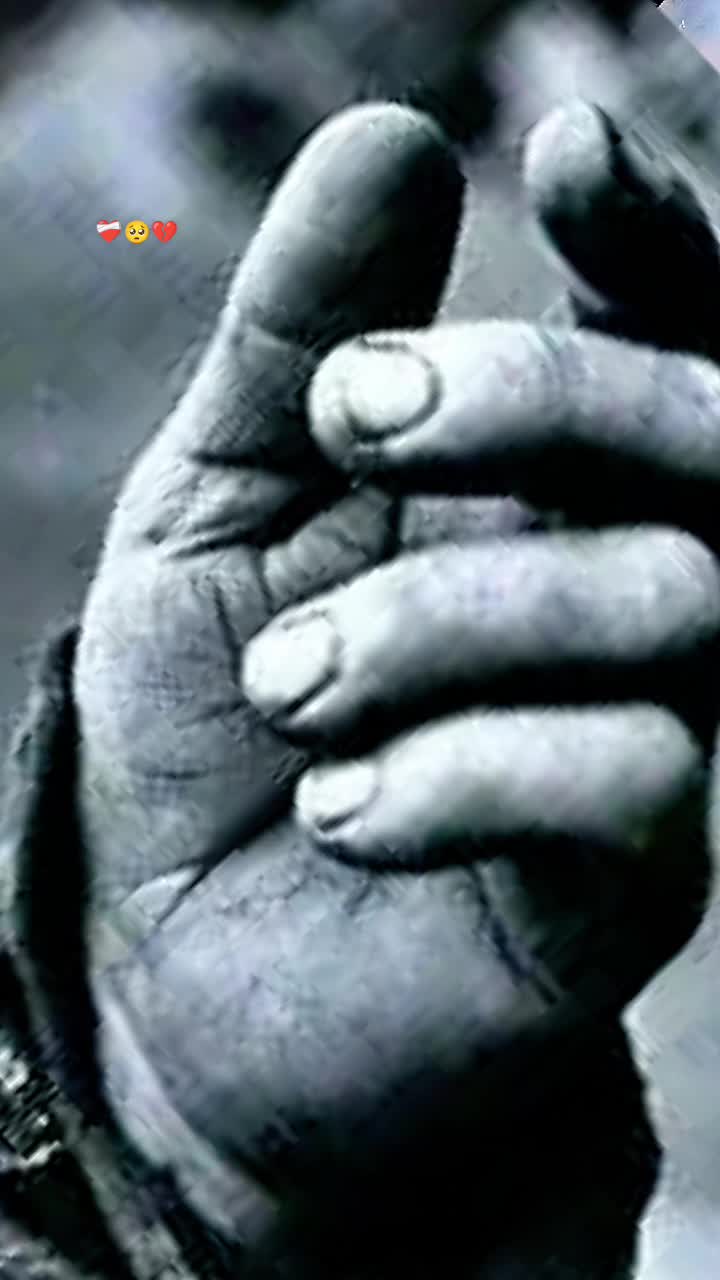 @mmurtaza1457