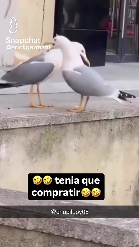 @Luis Lpz7