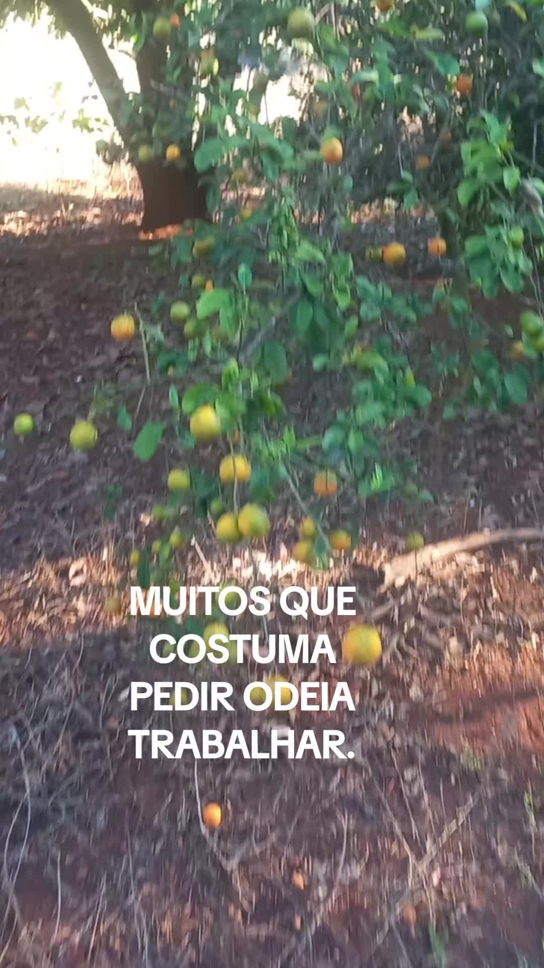 @RICARDO SILVA(GOIANO) 5151